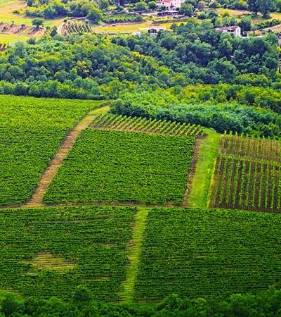 foto-weinregion (13)-4 Weinort