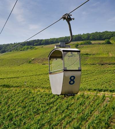 Weinort