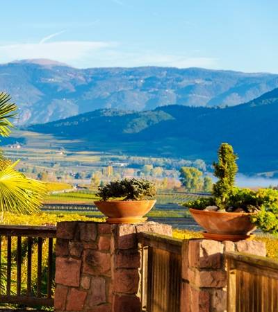 Weinberghof Bellutti