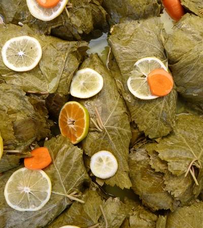 wein-blaetter wein-blaetter