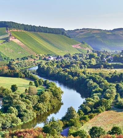 Weingut von Othegraven