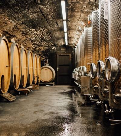 weingut-vonothergraven-3-4 Weingut von Othegraven